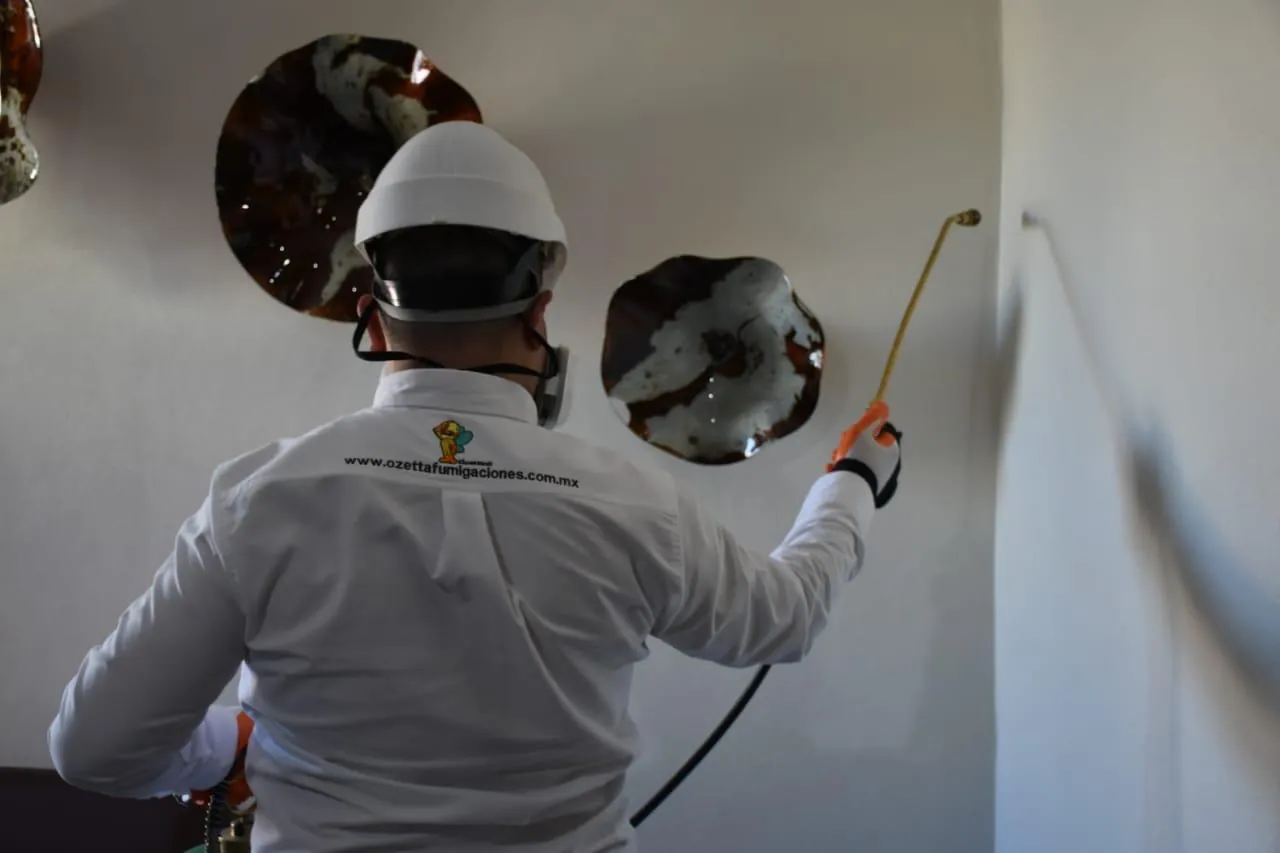 Técnico de Ozetta aplicando tratamiento con lanza sobre un muro interior de una casa en León
